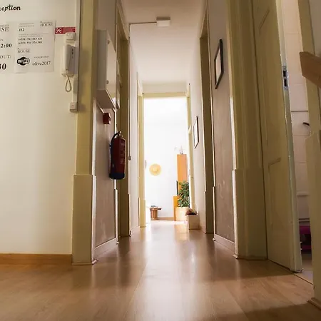 Olive Street House Hostel *