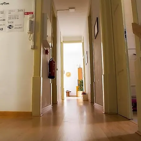 호스텔 Olive Street House 코임브라
