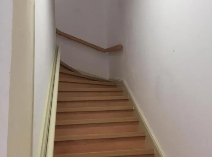 Olive Street House Coimbra